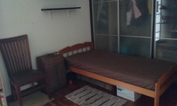 The Tanamera (D16), Condominium #174652872